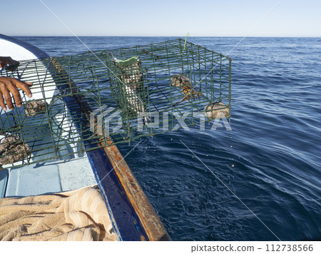 fishing with lobster pot in mexico 112738566