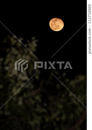 Moon  112738800