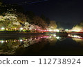 Cherry blossoms at night 112738924