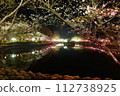 Cherry blossoms at night 112738925