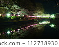 Cherry blossoms at night 112738930
