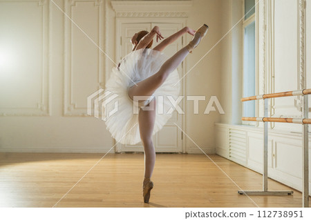 Young ballerina in tutu skirt dancing practicing ballet positions in dance class. Young classical dancer woman in dance studio. Ballet class training. Ballet school concept Young ballerina in tutu skirt dancing practicing ballet positions in dance class. Young classical dancer woman in dance studio. Ballet class training. Ballet school concept 112738951