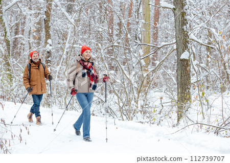 A couple having a walk in a winter forest and looking contented 112739707