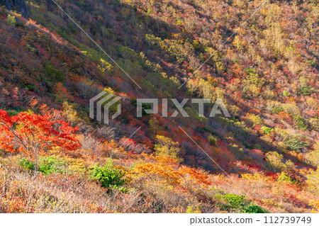 (栃木縣)茶臼岳(那須岳) 從紅葉巔峰的牛岳眺望的姥平的紅葉 (栃木縣)茶臼岳(那須岳) 從紅葉巔峰的牛岳眺望的姥平的紅葉 112739749