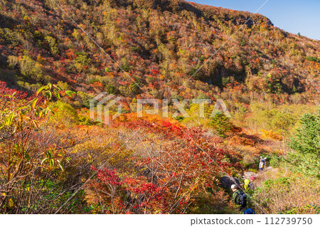 (Tochigi Prefecture) Chausu-dake (Nasu-dake) Autumn leaves of Ubagadaira overlooking from Ushigakubi at the peak of autumn leaves (Tochigi Prefecture) Chausu-dake (Nasu-dake) Autumn leaves of Ubagadaira overlooking from Ushigakubi at the peak of autumn leaves 112739750