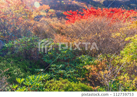 (Tochigi Prefecture) Chausu-dake (Nasu-dake) Autumn leaves of Ubagadaira overlooking from Ushigakubi at the peak of autumn leaves (Tochigi Prefecture) Chausu-dake (Nasu-dake) Autumn leaves of Ubagadaira overlooking from Ushigakubi at the peak of autumn leaves 112739753