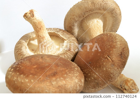 Freshly harvested raw shiitake mushrooms 112740124
