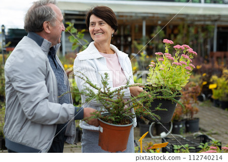 Elderly men and women buy dogwood and sedum plants at the open-air market 112740214