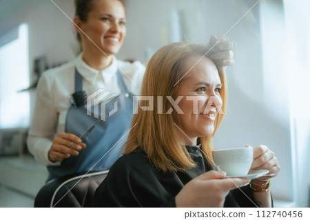female hairdresser in modern hair studio cutting hair 112740456