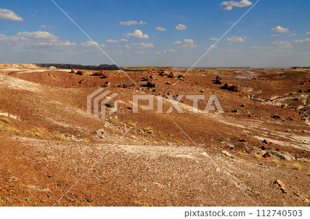 Alien Landscape Petrified Forest National Park Arizona Alien Landscape Petrified Forest National Park Arizona 112740503