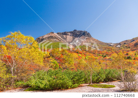(Tochigi Prefecture) Chausu-dake (Nasu-dake) Looking up at the summit from Ubagadaira during the peak of autumn leaves (Tochigi Prefecture) Chausu-dake (Nasu-dake) Looking up at the summit from Ubagadaira during the peak of autumn leaves 112740668