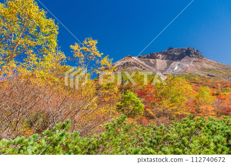 (Tochigi Prefecture) Chausu-dake (Nasu-dake) Looking up at the summit from Ubagadaira during the peak of autumn leaves 112740672