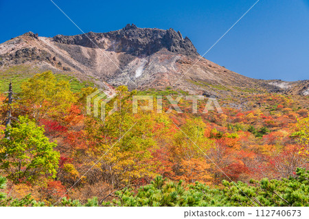 （栃木縣）茶臼岳（那須岳）紅葉盛時，從婆婆頭平仰望山頂 112740673