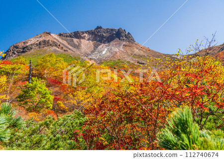 （栃木縣）茶臼岳（那須岳）紅葉盛時，從婆婆頭平仰望山頂 112740674