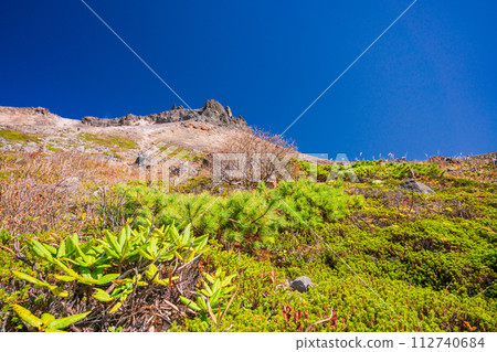 (Tochigi Prefecture) Chausu-dake (Nasu-dake) Looking up at the summit from Ubagadaira during the peak of autumn leaves 112740684