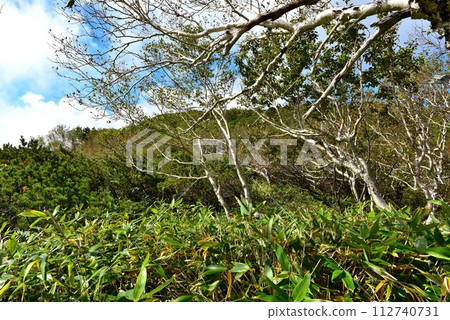 Scenery of World Natural Heritage Site Shiretoko 112740731