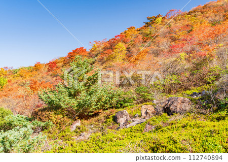 （栃木縣）茶臼山（那須山）紅葉盛時，從姥頭平眺望周圍群山 112740894