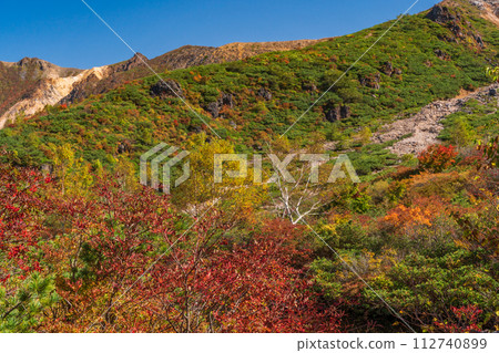 （栃木縣）茶臼山（那須山）紅葉盛時，從姥頭平眺望周圍群山 112740899