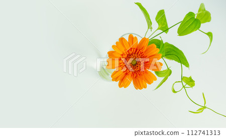 天然橙花背景,花瓶中的單花,複製空間,簡單 天然橙花背景,花瓶中的單花,複製空間,簡單 112741313