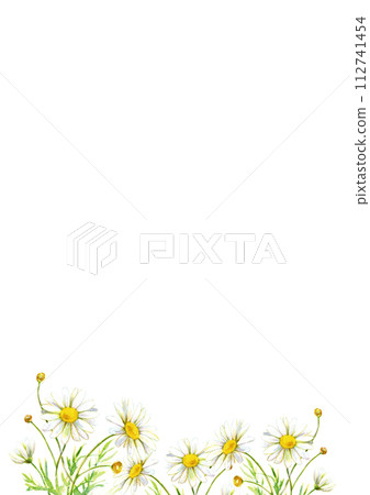 Watercolor illustration Margaret field background material 112741454