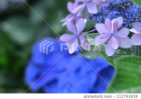 It gets wet when it rains 112741639