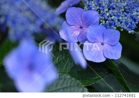 下雨時它會變濕 112741681