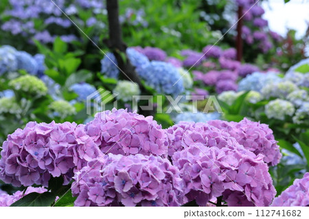 下雨時它會變濕 112741682