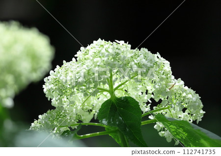 下雨時它會變濕 112741735