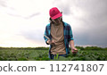 farm worker walks through the field. farming business and irrigation concept. a farmer in red cap and blue shirt walks among the sprouts lifestyle of a plant he grew in his field, holding a tablet 112741807