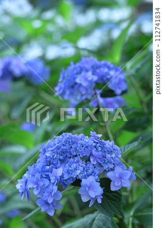 It gets wet when it rains It gets wet when it rains 112741834