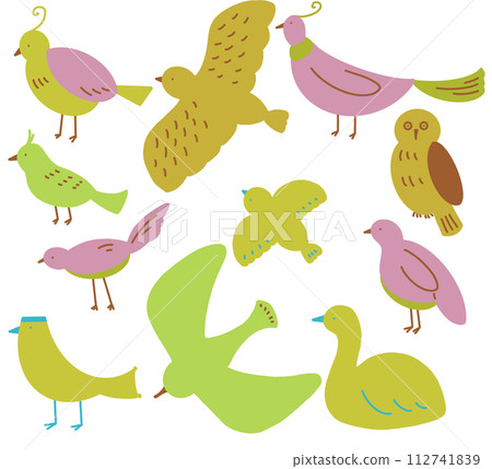 bird collection set 112741839