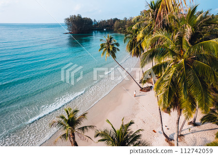 Aerial Beach and coconut trees on a calm island in the morning Aerial Beach and coconut trees on a calm island in the morning 112742059
