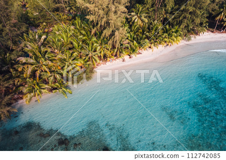 Aerial Beach and coconut trees on a calm island in the morning Aerial Beach and coconut trees on a calm island in the morning 112742085
