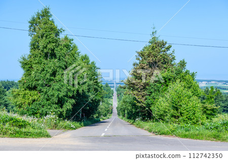 北海道的夏天,熱門的旅遊勝地,通往晴空的道路 北海道的夏天,熱門的旅遊勝地,通往晴空的道路 112742350