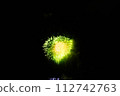 Fireworks 112742763