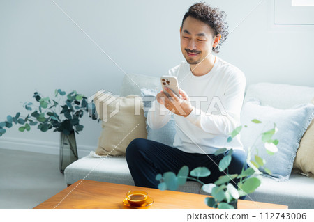 A man looking at his smartphone in the living room A man looking at his smartphone in the living room 112743006
