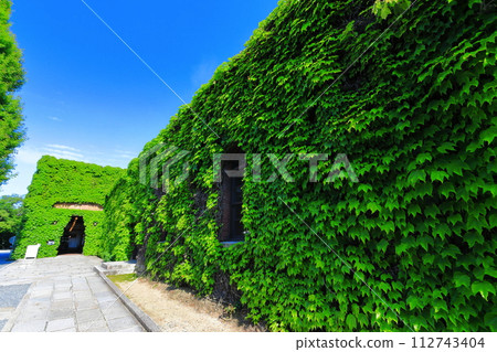 [Okayama Prefecture] Sunny Kurashiki Bikan Historical Quarter (Kurashiki Ivy Square) 112743404