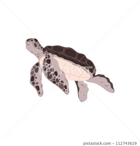 Graceful sea turtle underwater. Vector illustration Graceful sea turtle underwater. Vector illustration 112743629
