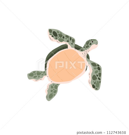 Solo swimming sea turtle. Vector illustration 112743638