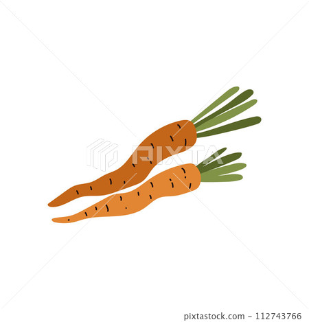 Carrots vegetable, vector cartoon orange two carrots with leaves, natural diet plant nutrition, healthy farm product 112743766