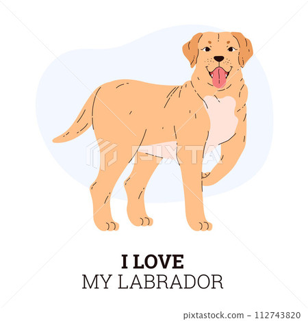 Labrador retriever dog raised paw, tongue hanging out, vector cute friendly standing pet, I love my Labrador poster 112743820