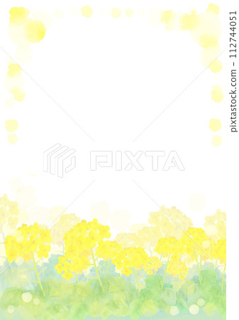 水彩畫的油菜花的背景插圖 水彩畫的油菜花的背景插圖 112744051