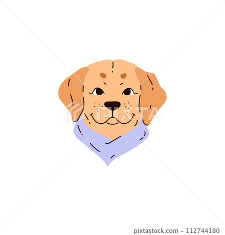 Labrador retriever muzzle vector portrait, cute purebred friendly beige pet, cartoon dog with blue neckerchief collar 112744180