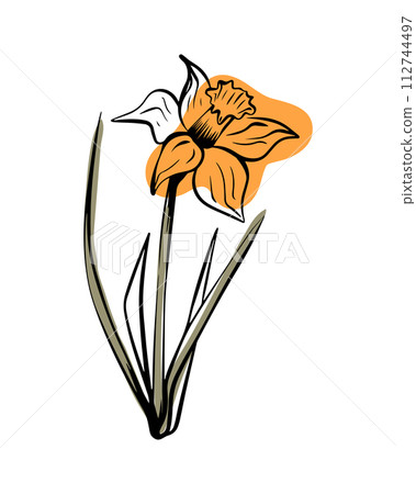 Narcissist in sketch style with abstract color shapes, hand-drawn isolated on white background. 112744497