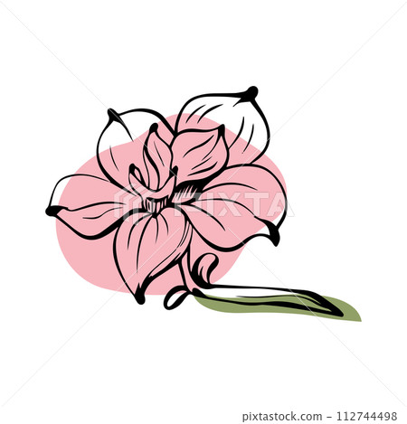 Magnolia in sketch style with abstract color shapes, hand-drawn isolated on white background. Magnolia in sketch style with abstract color shapes, hand-drawn isolated on white background. 112744498