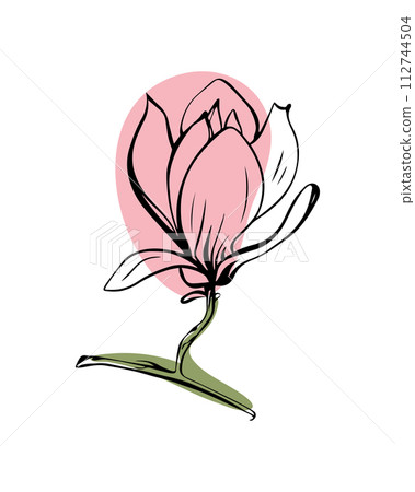 Magnolia in sketch style with abstract color shapes, hand-drawn isolated on white background. Magnolia in sketch style with abstract color shapes, hand-drawn isolated on white background. 112744504