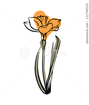 Narcissist in sketch style with abstract color shapes, hand-drawn isolated on white background. 112744510