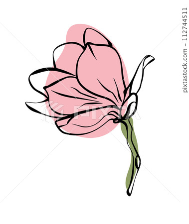 Magnolia in sketch style with abstract color shapes, hand-drawn isolated on white background. Magnolia in sketch style with abstract color shapes, hand-drawn isolated on white background. 112744511