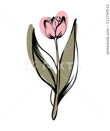 Tulip in sketch style with abstract color shapes, hand-drawn isolated on white background. Tulip in sketch style with abstract color shapes, hand-drawn isolated on white background. 112744512