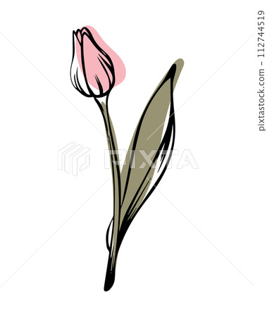 Tulip in sketch style with abstract color shapes, hand-drawn isolated on white background. Tulip in sketch style with abstract color shapes, hand-drawn isolated on white background. 112744519